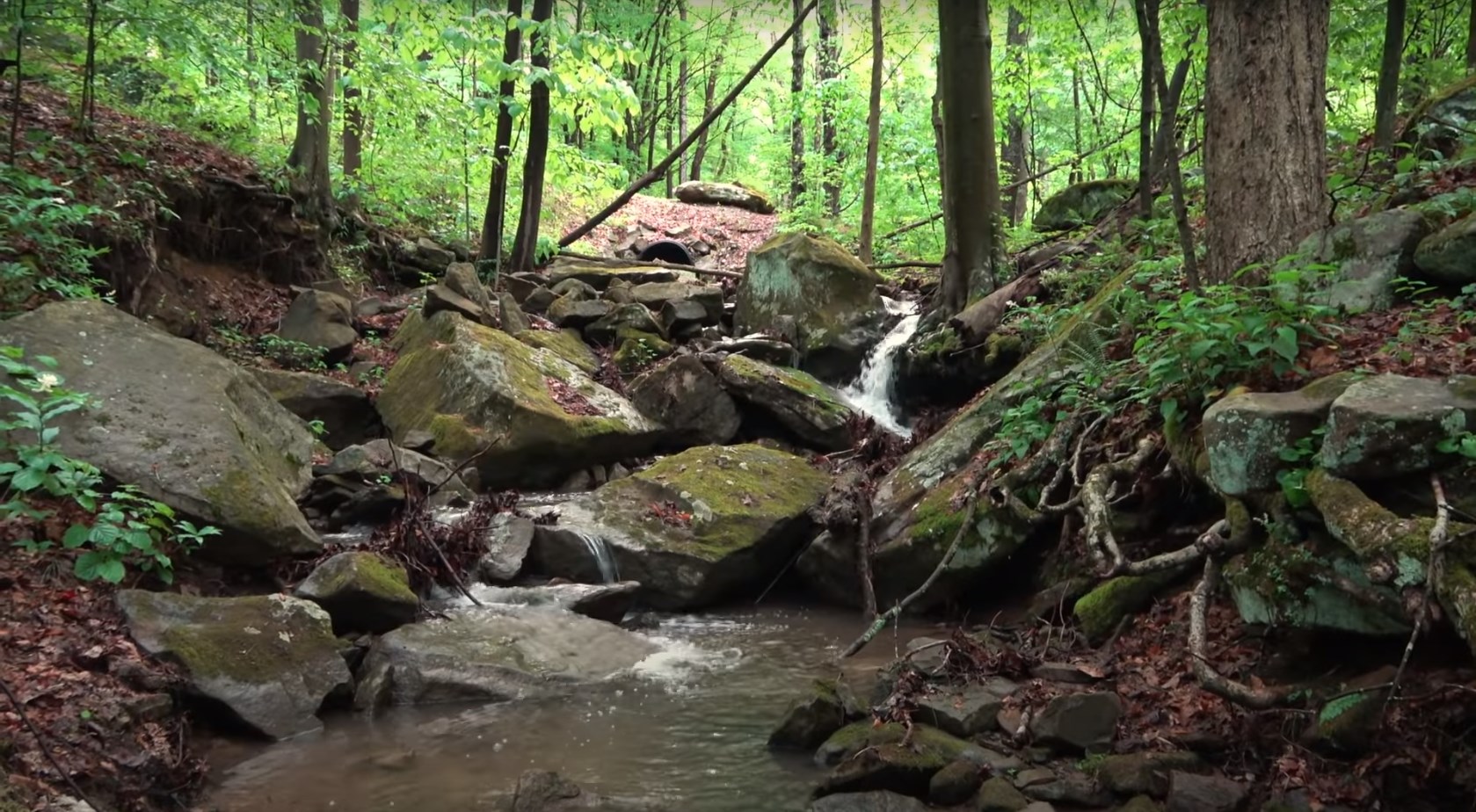 Things to Do in Ohiopyle Unleashing Adventure & Serenity