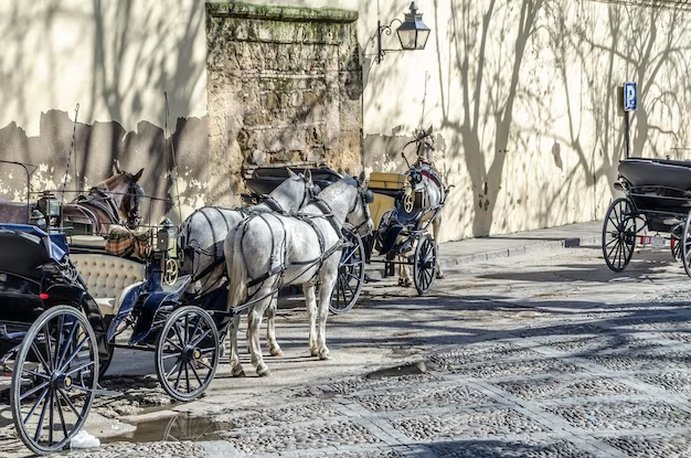 Horses in Line with Carriages