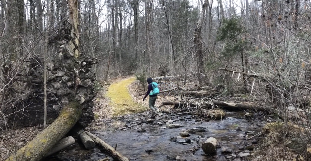 Woman walking on a tree-lined trail leading to a small lake.